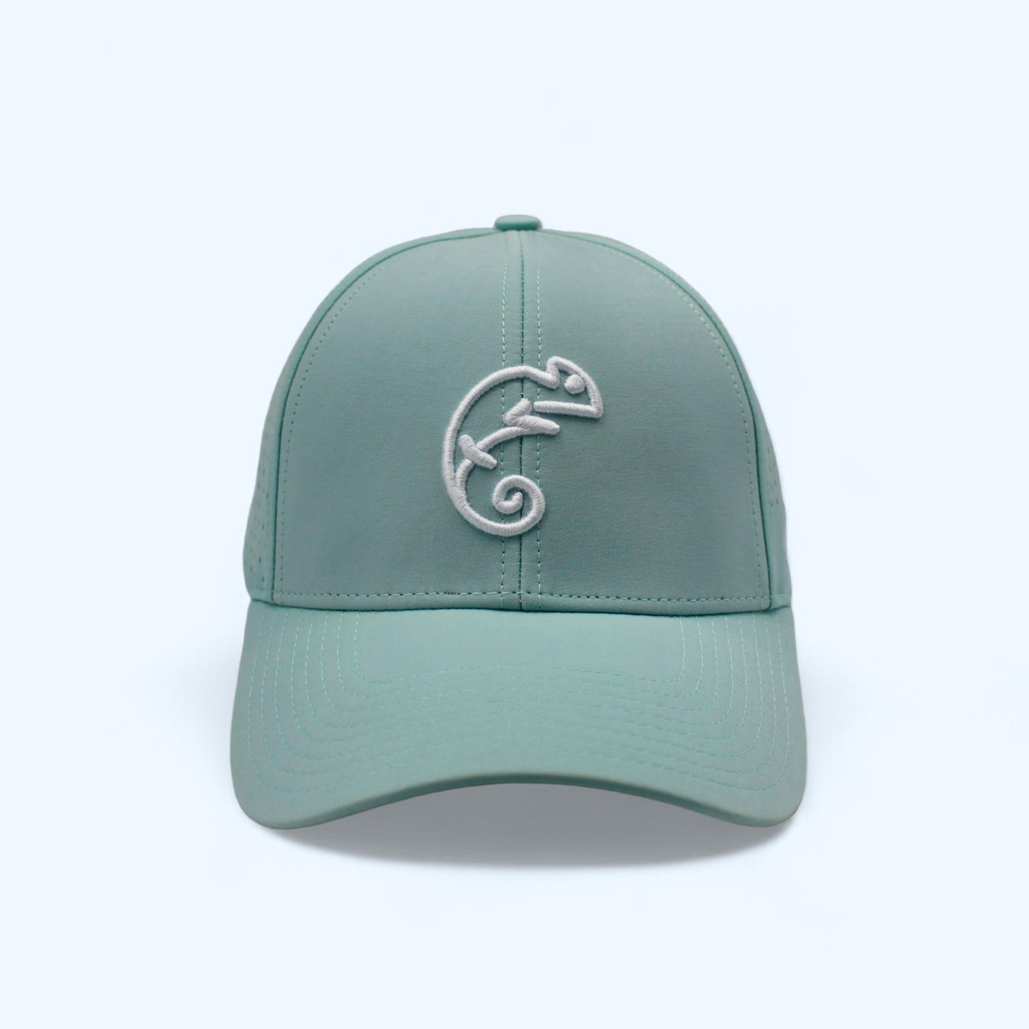 The Sky Blue Cap